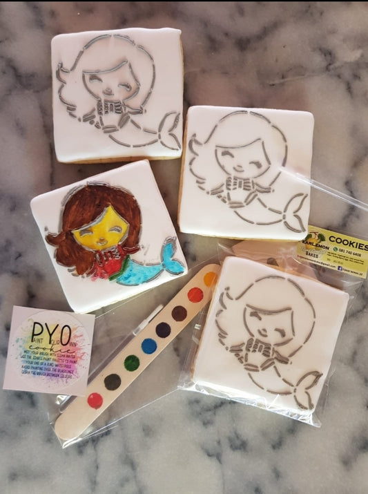 PAINT YOUR OWN KITS