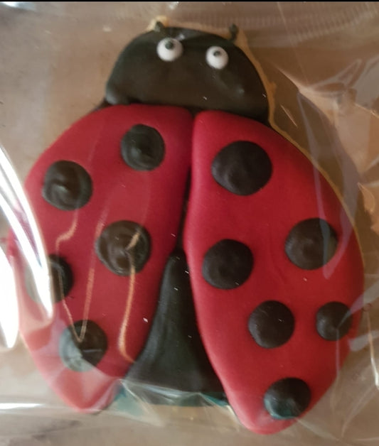 Bugs Lady Bird